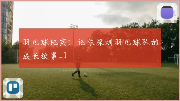 羽毛球纪实：记录深圳羽毛球队的成长故事_1