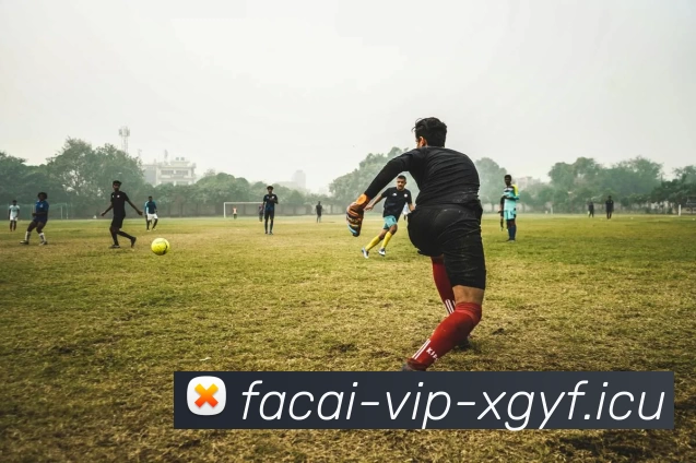 乐鱼体育品牌故事