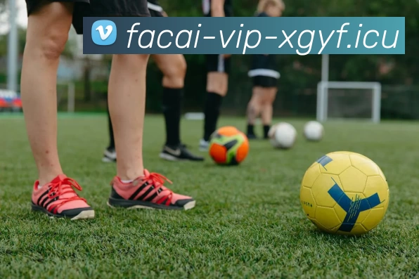 乐鱼体育服务体系